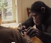 Boyhood meets Dawn of the Planet of the Apes