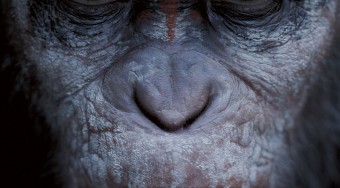 Dawn of the Planet of the Apes Poster