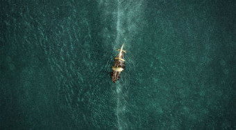 In the Heart of the Sea Review