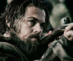 The Revenant Movie Photo