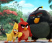 Box Office Angry Birds