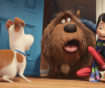 Secret Life of Pets Reviews