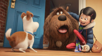 Secret Life of Pets Reviews